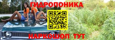 гидропоника Тара