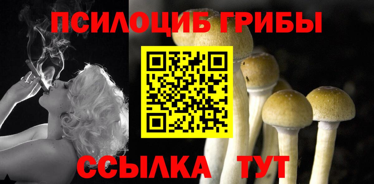 Псилоцибиновые грибы Cubensis  как найти закладки  Малгобек  Вход с VPN 